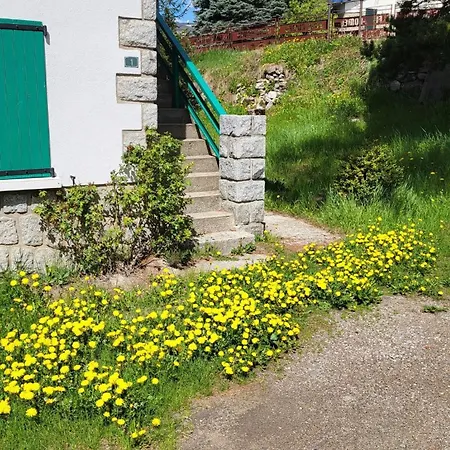 Appartement Rez De Jardin, Proche Centre