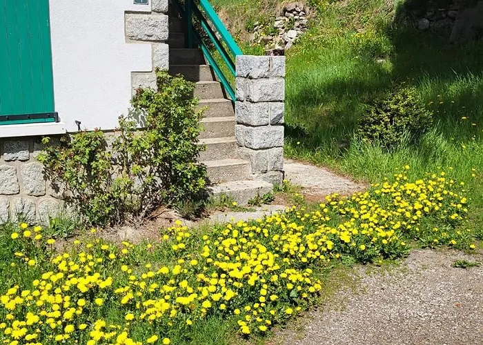 Lejlighed Le Clos Du Cambre - Proche Centre, Navette, Parking